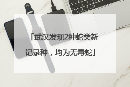 武汉发现2种蛇类新记录种，均为无毒蛇