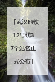 武汉地铁12号线37个站名正式公布