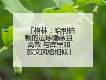 格林：哈利伯顿的运球隐蔽且高效 与库里和欧文风格相似