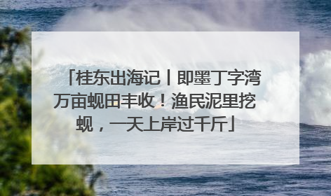 桂东出海记丨即墨丁字湾万亩蚬田丰收！渔民泥里挖蚬，一天上岸过千斤