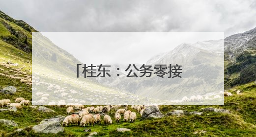 桂东：公务零接待 勤俭办食堂