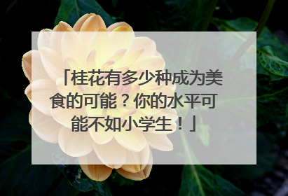 桂花有多少种成为美食的可能？你的水平可能不如小学生！