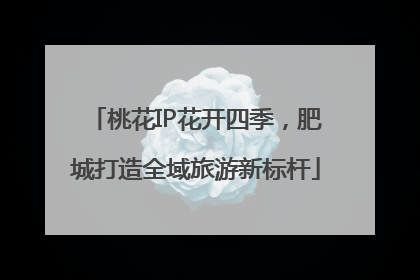 桃花IP花开四季，肥城打造全域旅游新标杆