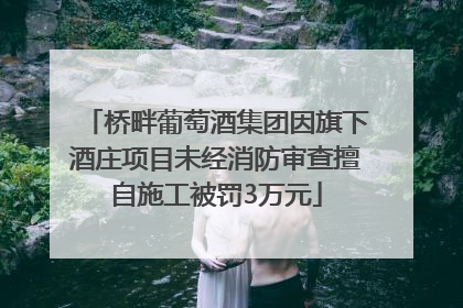 桥畔葡萄酒集团因旗下酒庄项目未经消防审查擅自施工被罚3万元
