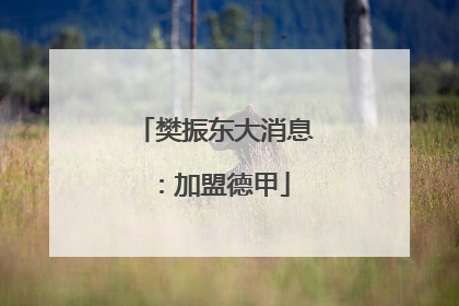 樊振东大消息：加盟德甲