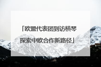欧盟代表团到访横琴 探索中欧合作新路径