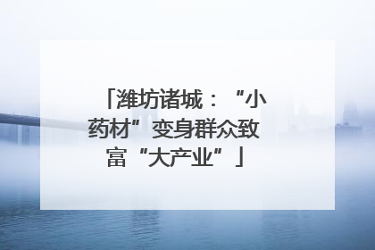 潍坊诸城：“小药材”变身群众致富“大产业”