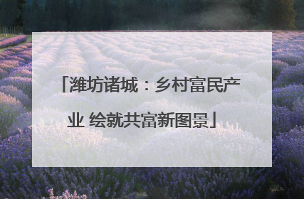 潍坊诸城：乡村富民产业 绘就共富新图景