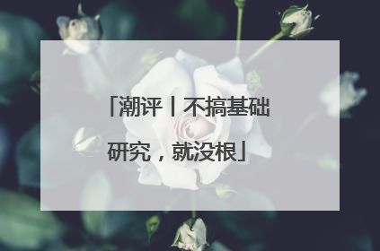 潮评丨不搞基础研究，就没根