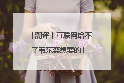 潮评丨互联网给不了韦东奕想要的