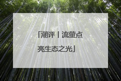 潮评丨流萤点亮生态之光