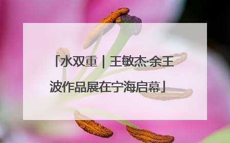 水双重｜王敏杰·余王波作品展在宁海启幕