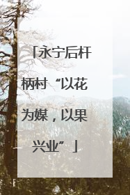 永宁后杆柄村“以花为媒，以果兴业”