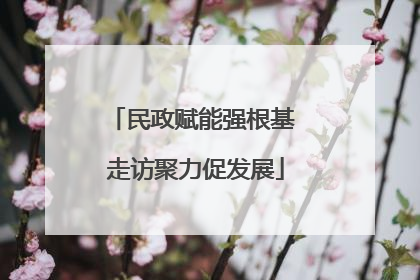 民政赋能强根基 走访聚力促发展