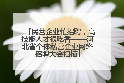 民营企业忙招聘，高技能人才很吃香——河北省个体私营企业网络招聘大会扫描