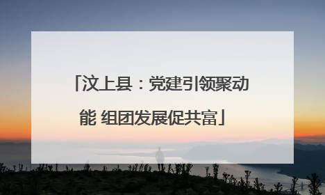 汶上县：党建引领聚动能 组团发展促共富