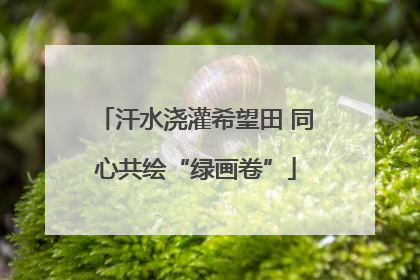 汗水浇灌希望田 同心共绘“绿画卷”