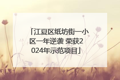 江夏区纸坊街一小区一年逆袭 荣获2024年示范项目
