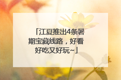 江夏推出4条暑期宝藏线路，好看好吃又好玩~