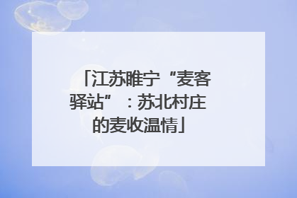 江苏睢宁“麦客驿站”：苏北村庄的麦收温情