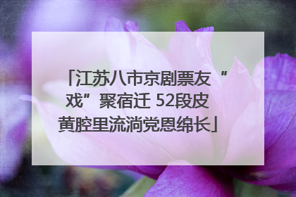 江苏八市京剧票友“戏”聚宿迁 52段皮黄腔里流淌党恩绵长