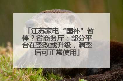 江苏家电“国补”暂停？省商务厅：部分平台在整改或升级，调整后可正常使用