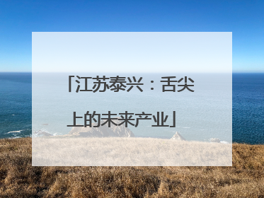 江苏泰兴：舌尖上的未来产业