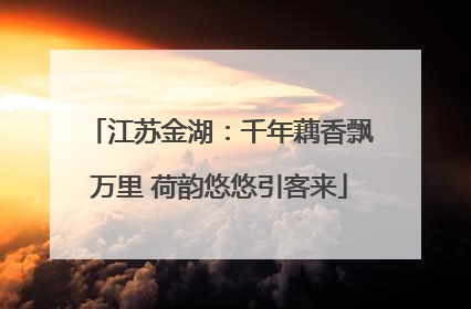 江苏金湖：千年藕香飘万里 荷韵悠悠引客来