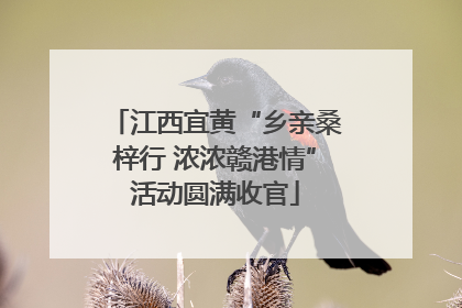 江西宜黄“乡亲桑梓行 浓浓赣港情”活动圆满收官