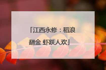江西永修：稻浪翻金 虾跃人欢