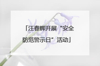 汪春辉开展“安全防范警示日”活动