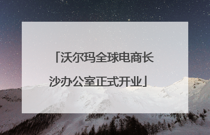 沃尔玛全球电商长沙办公室正式开业