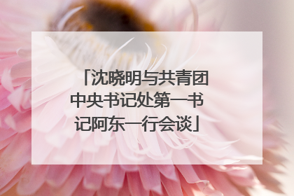 沈晓明与共青团中央书记处第一书记阿东一行会谈