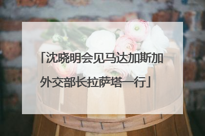 沈晓明会见马达加斯加外交部长拉萨塔一行
