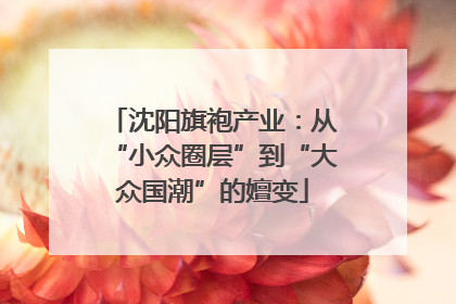 沈阳旗袍产业：从“小众圈层”到“大众国潮”的嬗变