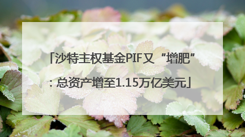沙特主权基金PIF又“增肥”：总资产增至1.15万亿美元
