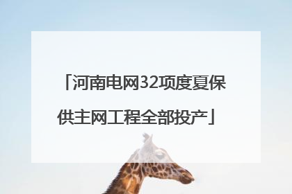 河南电网32项度夏保供主网工程全部投产