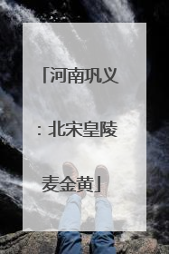 河南巩义：北宋皇陵麦金黄