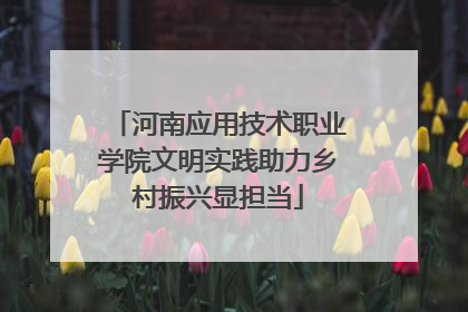 河南应用技术职业学院文明实践助力乡村振兴显担当
