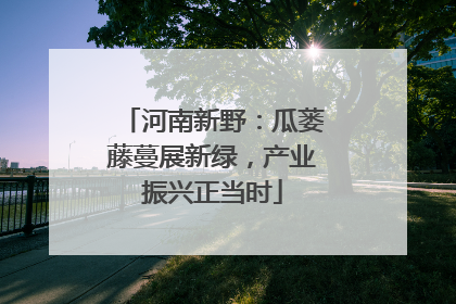 河南新野：瓜蒌藤蔓展新绿，产业振兴正当时