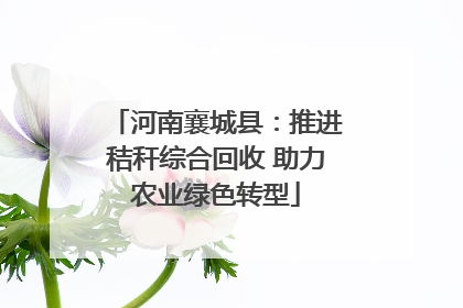 河南襄城县：推进秸秆综合回收 助力农业绿色转型