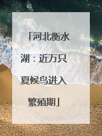 河北衡水湖：近万只夏候鸟进入繁殖期