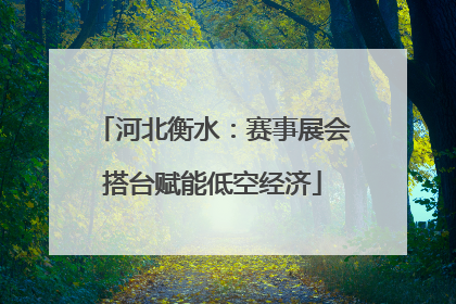 河北衡水：赛事展会搭台赋能低空经济