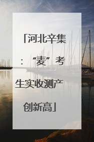 河北辛集：“麦”考生实收测产创新高