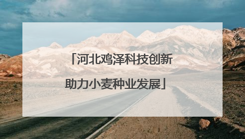河北鸡泽科技创新助力小麦种业发展