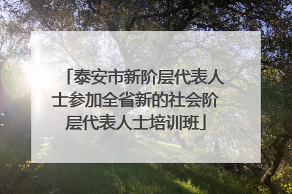 泰安市新阶层代表人士参加全省新的社会阶层代表人士培训班