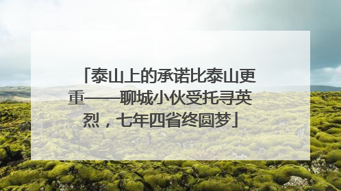 泰山上的承诺比泰山更重——聊城小伙受托寻英烈，七年四省终圆梦