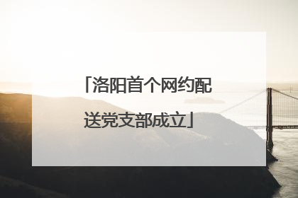 洛阳首个网约配送党支部成立