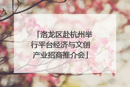 洛龙区赴杭州举行平台经济与文创产业招商推介会