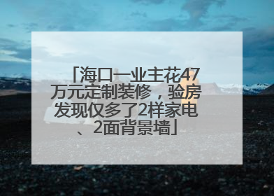 海口一业主花47万元定制装修，验房发现仅多了2样家电、2面背景墙